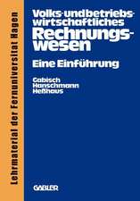 Volks- und betriebswirtschaftliches Rechnungswesen: Eine Einführung