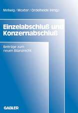 Einzelabschluß und Konzernabschluß: Beiträge zum neuen Bilanzrecht, Band 1