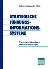 Strategische Führungsinformationssysteme: Theoretische Grundlagen, praktische Erfahrungen