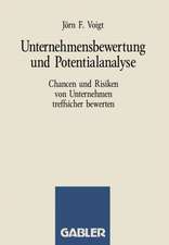 Unternehmensbewertung und Potentialanalyse: Chancen und Risiken von Unternehmen treffsicher bewerten