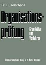 Organisationsprüfung: Grundsätze und Verfahren