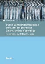 Durch Dünnschichtverzinken auf Stahl aufgebrachte Zink-Aluminiumüberzüge