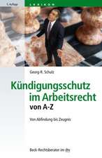 Kündigungsschutz im Arbeitsrecht von A - Z