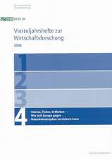 Stürme, Fluten, Erdbeben - Wie sich Europa gegen Naturkatastrophen versichern kann