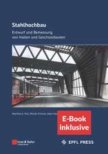 Stahlhochbau. E-Bundle