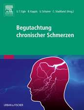 Begutachtung chronischer Schmerzen