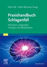 Praxishandbuch Schlaganfall