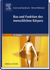 Bau und Funktionen des menschlichen Körpers