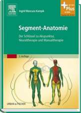 Segment-Anatomie