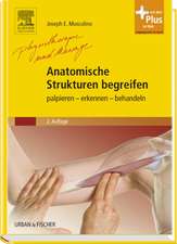 Anatomische Strukturen begreifen