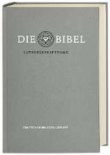 Lutherbibel revidiert 2017 - Die Standardausgabe (grau)