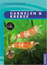 Garnelen & Krebse