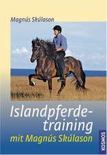 Islandpferdetraining mit Magnus Skulason