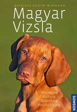 Magyar Vizsla