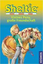 Sheltie - Kleines Pony, große Freundschaft