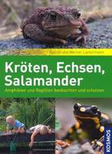 Kröten, Echsen, Salamander