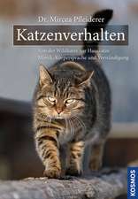 Katzenverhalten