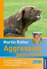 Aggression beim Hund