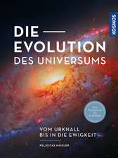 Die Evolution des Universums