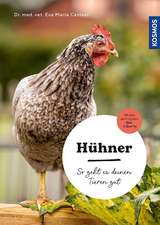 Hühner