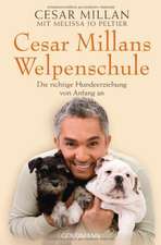 Cesar Millans Welpenschule