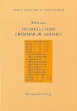 Introductory Grammar of Amharic