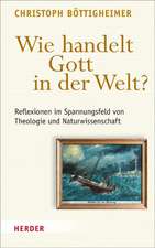 Wie handelt Gott in der Welt?