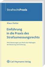 Einführung in die Praxis des Strafzumessungsrechts