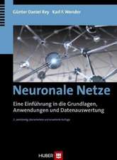 Rey, G: Neuronale Netze