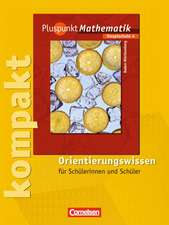 Pluspunkt Mathematik 4. Orientierungswissen. Hauptschule Baden-Württemberg