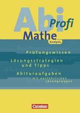 Abi-Profi Mathe. Analysis