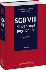 SGB VIII