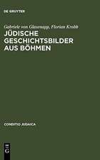 Jüdische Geschichtsbilder aus Böhmen: Kommentierte Edition der historischen Erzählungen von Salomon Kohn