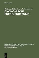 Ökonomische Energienutzung