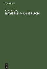 Bayern im Umbruch: Die Revolution von 1918, ihre Voraussetzungen, ihr Verlauf und ihre Folgen