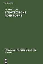 Strategische Rohstoffe: Risiken für die wirtschaftliche Sicherheit des Westens