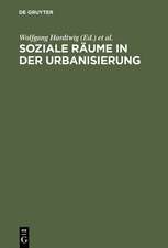 Soziale Räume in der Urbanisierung: Studien zur Geschichte Münchens im Vergleich 1850–1933