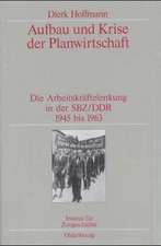 Aufbau und Krise der Planwirtschaft: Die Arbeitskräftelenkung in der SBZ/DDR 1945 bis 1963. Veröffentlichungen zur SBZ-/DDR-Forschung im Institut für Zeitgeschichte