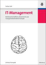 IT-Management: Betriebswirtschaftliche, ökonomische und managementorientierte Konzepte