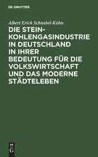 Die Steinkohlengasindustrie in Deutschland in ihrer Bedeutung für die Volkswirtschaft und das moderne Städteleben