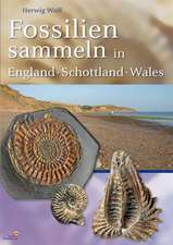 Fossilien sammeln in England - Schottland - Wales