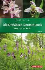 Die Orchideen Deutschlands