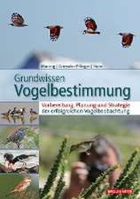 Grundwissen Vogelbestimmung