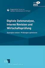 Digitale Datenanalyse, Interne Revision und Wirtschaftsprüfung