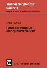 Parallele adaptive Mehrgitterverfahren