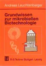 Grundwissen zur mikrobiellen Biotechnologie: Grundlagen, Methoden, Verfahren und Anwendungen