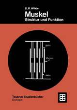 Muskel: Struktur und Funktion