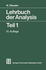 Lehrbuch der Analysis Teil 1