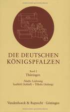 Die Deutschen Konigspfalzen. Lieferung 2,5: Saalfeld (Schluss) - Tilleda (Anfang)