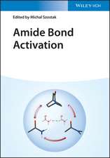 Amide Bond Activation – Concepts and Reactions